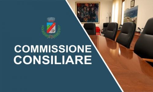 Commissione Consiliare Permanente FINANZA E PROGRAMMAZIONE